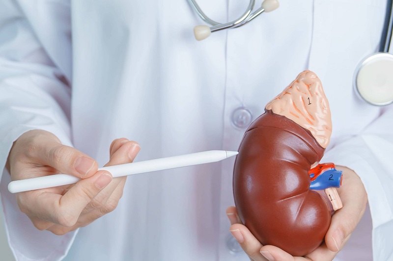 precio-valoracion-y-tratamiento-de-tumores-renales