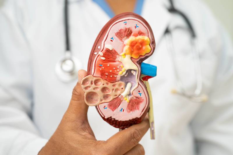precio-de-la-valoracion-de-infeccion-de-vias-urinarias-recurrentes