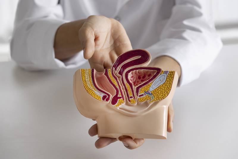 precio-de-la-valoracion-de-infeccion-de-vias-urinarias-recurrentes